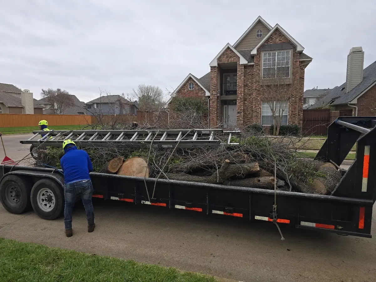 Expert Tree Fertilization with proper safety equipment in Eagle Lake